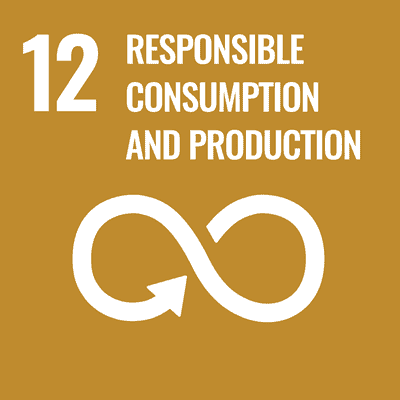 UN Sustainable Development Goals - Goal 12 - Responsible Consumption and Production