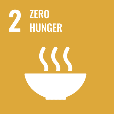 UN Sustainable Development Goals - Goal 2 - Zero Hunger